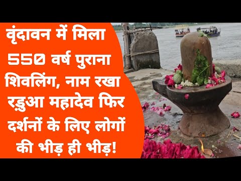 Vrindavan में मिला 550 वर्ष पुराना शिवलिंग, नाम रखा रड़ुआ महादेव, दर्शनों के लिए लोगों भीड़ ही भीड़!