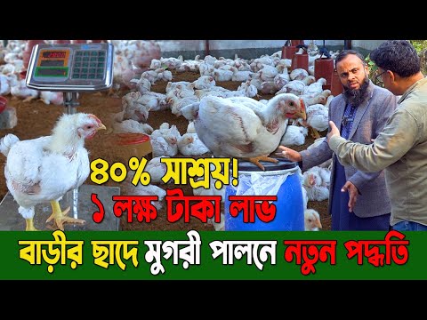 ছাদে মুরগী পালন : ৩৫ দিনে ৪০% খরচ কমিয়ে ১ লক্ষ টাকা লাভ! | নতুন পদ্ধতিতে আয় বাড়ান