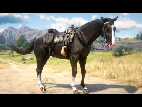 CABALLO NEGRO | RED DEAD REDEMPTION 2