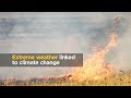 Climate Change and Extreme Weather Effects