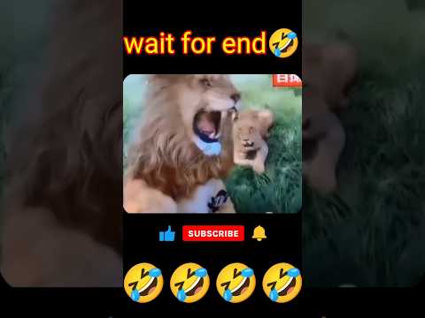 By God Teri Seva Karenge || Girl's Boy's Dance || WhatsApp (Lyrics) Dance Status 😂|| #song #shorts
