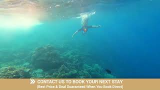 Serenity Island Guest Feedback - John & Caitlyn
