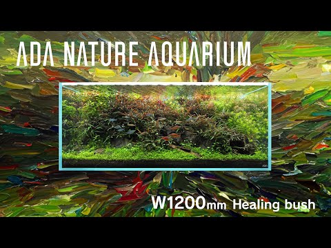 [ADAview] Healing bush  -W1200mm Nature Aquarium Layout-【EN/JP Sub.】
