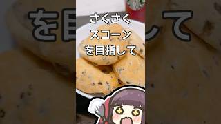 夏こそサクサク！チョコチップスコーン
