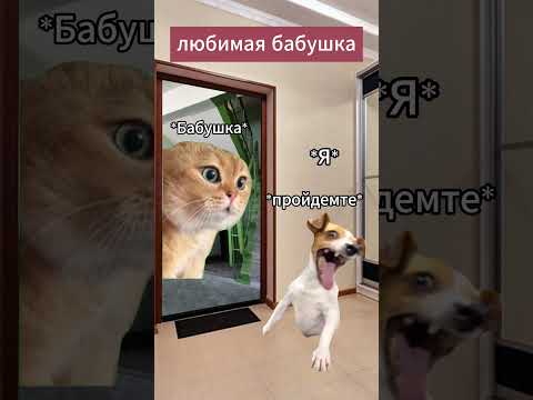 Любите своих бабушек!