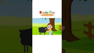 Baa Baa Black Sheep 🐑 | Fun Kids Songs & Nursery Rhymes | Baby Songs for Learning