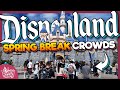 Disneyland Visit Experience and Wait Times
