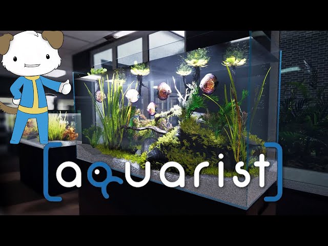 AQUARIST First Look