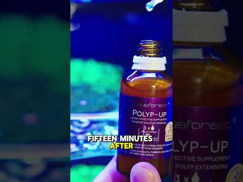 Ring The Dinner Bell! #brstv Looking to boost polyp extension and get your corals feeding like never before? Aquaforest Polyp Up 