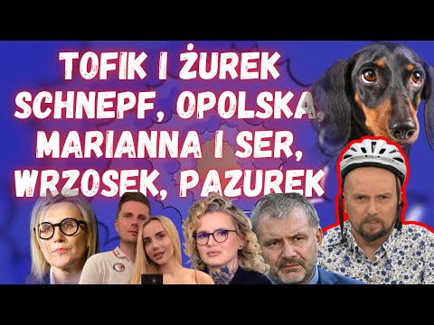 Pies Żurka i tajemniczy klocek. Żarty Wrzosek. Marianna straciła ser(ce)  | Codziennie Burza