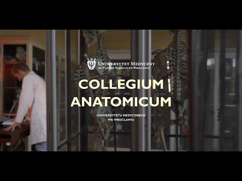 Collegium Anatomicum UMW