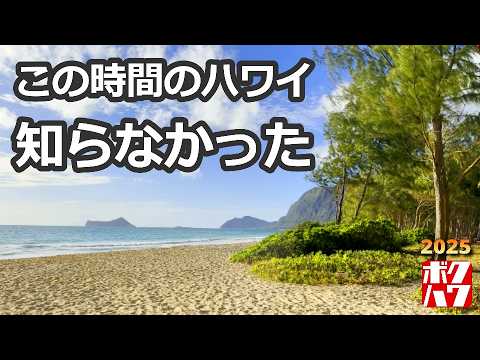 【ハワイ】朝の