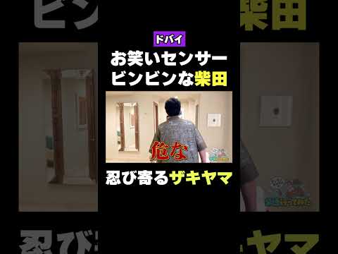 柴田はお笑いセンサービンビン#shorts #お笑い #バラエティ #アンタッチャブル #アンタッチャブルの早速行ってみた