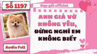 Anh Giả Vờ Không Yêu Đừng Nghĩ Em Không Biết – Audio Full | Đẹp Gái Official số 1197