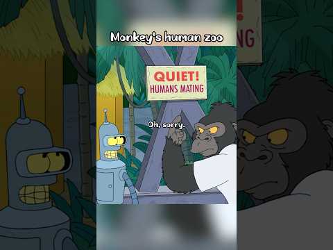 Monkey’s human zoo #shorts