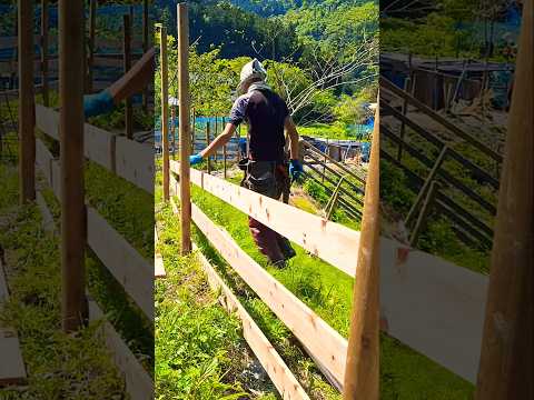 ただいま牧場の日常
