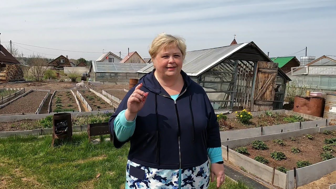 Пересадили голубику как агроном велел. / Сафар заливает крыльцо/