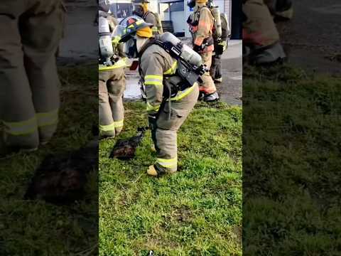 Firefighters Must Keep Moving or… 😳🔥 #facts #trending #viral