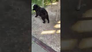 Betty sucht ein Zuhause 3