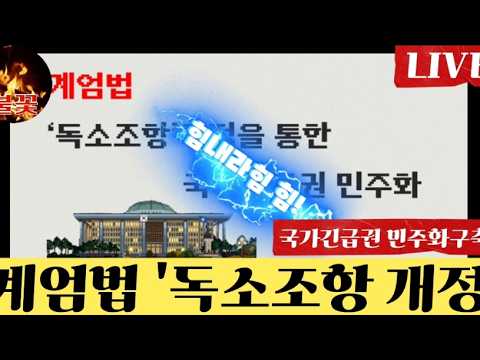[26/08/20] 계엄법 '<strong>독소조항</strong>' 개정을통한  민주주의 지켜내자 힘내라 대한민국🇰🇷 #국회토론회 #이광희#불꽃뉴스tv