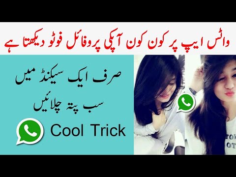 How to Know Who Viewed My WhatsApp Profile