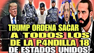 ULTIMA HORA DONALD TRUMP ORDENA SACAR DE ESTADOS UNIDOS A TODOS P4NDILLEROS DE LA 18
