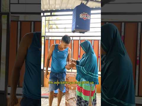 DARIPADA AKU YANG PENING BANG