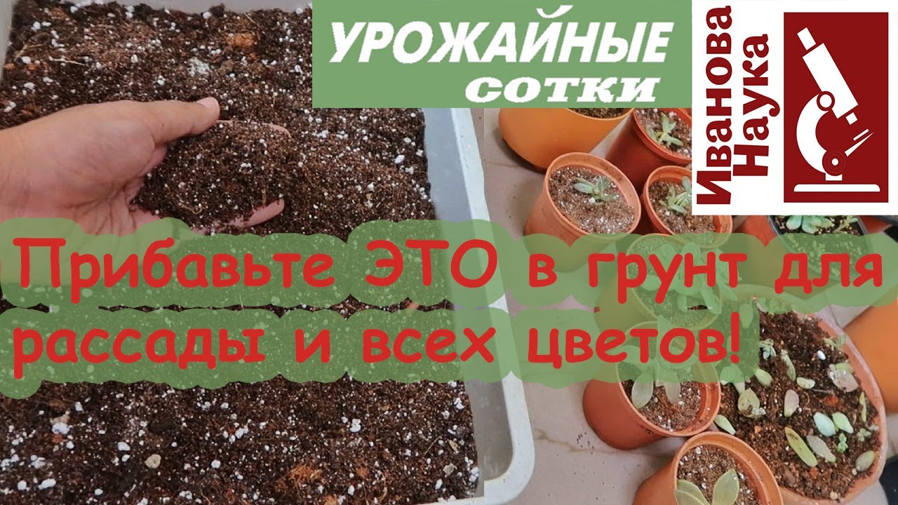 Не выбрасывайте, а добавьте в почву! Чудесные свойства простого материала, который есть у всех!