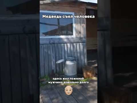 3 дня прожили на базе, где медведь-людоед съел сторожа