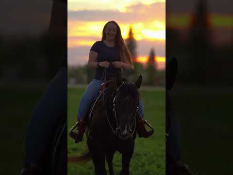 The closest to heaven #equestrian #stallion