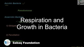 Respiration and Growth in Bacteria