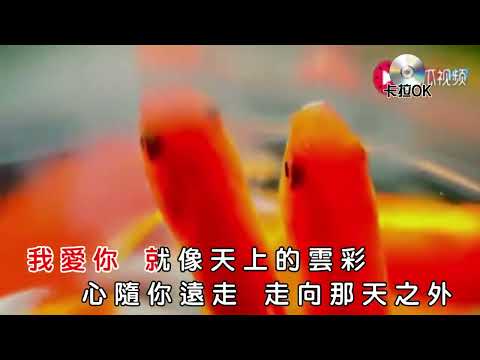 次仁央宗 為你等待 karaokeKTV 伴奏 左伴右唱 karaoke 卡拉OK 伴唱 instrumental次仁央宗 為你等待 karaoke