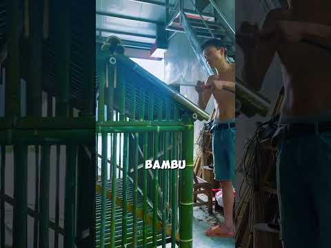 Proses selanjutnya setelah membuat kandang ayam yang bagus adalah pembakaran #shorts #shortvideo