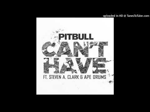 Pitbull - Can't Have ft. Steven A. Clark, Ape Drums (432Hz)