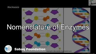 Nomenclature of Enzymes