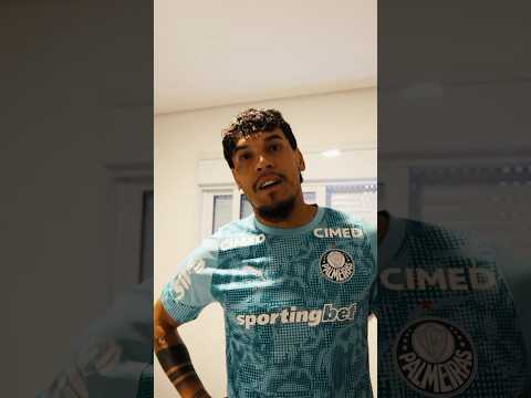 image para ilustrar o artigo