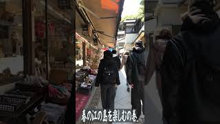 【江の島】江の島デートを楽しんできたよ