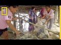 Marine Conservation and Community Efforts