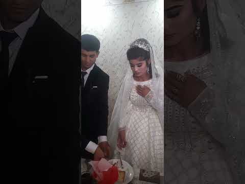 4 11 2024 bobur ukamizga tuylar muborak