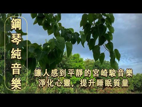 讓人感到平靜的宮崎駿音樂 - 鋼琴純音樂，淨化心靈，提升睡眠質量