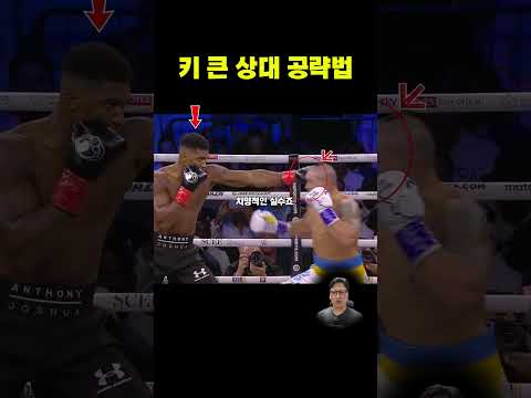 우식이 보여준 완벽한 타이밍의 카운터 #앤서니조슈아 #우식 #복싱분석 #40대아재복서