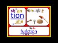 Exploring Ending Blends: Tion, Sion, Cian