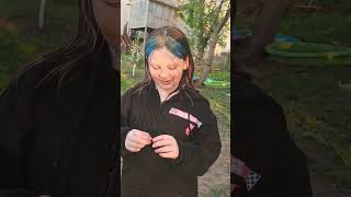 PLUMS SETTING FRUIT FOR THE FIRST TIME!!!! 3 YEAR OLD ORCHARD!!! ASAIN PEARS!!!!