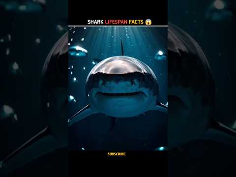 ଶାର୍କ କେତେ ବର୍ଷ ବଞ୍ଚେ? | Shark Lifespan Facts 🦈