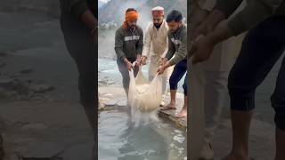 Manikaran Sahib: Hot Springs, Langar & History! #shorts