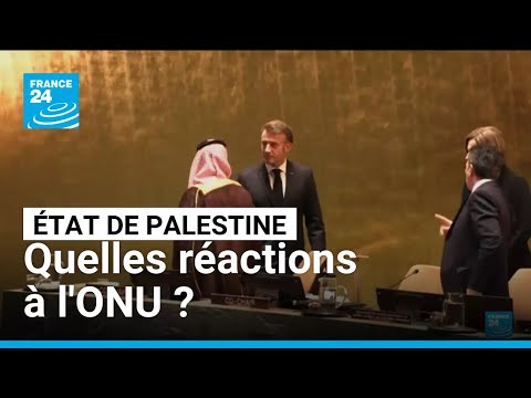 La France reconnaît officiellement l'État de Palestine : les réactions • FRANCE 24
