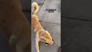 Wait for me!! Don’t you run away from me!!