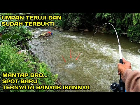 Mancing Menggunakan Umpan Yang Sudah Teruji dan Terbukti ini Hasilnya #LM15