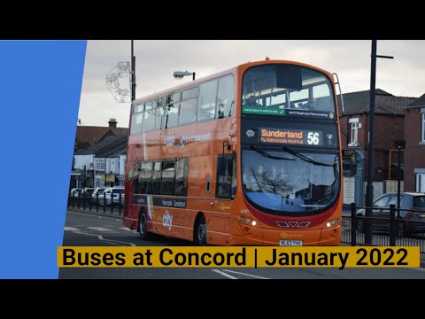 Buses at Concord | January 2022