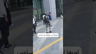 شهر ارواح چینی‌ها برای ربات‌ها!